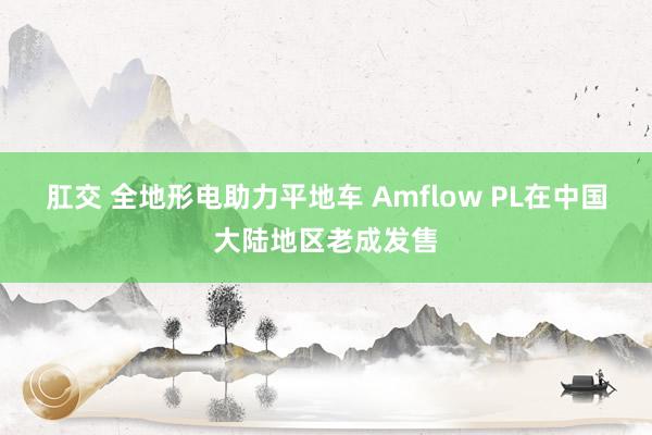 肛交 全地形电助力平地车 Amflow PL在中国大陆地区老成发售